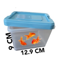 Betta fishtank/bekas ikan laga/bekas kura-kura （Ikan laga）