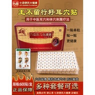Wang Buliuxing Seed Ear Acupoint Patch Ear Acupoint Patch Ear Bean Patch Massage Patch Ear Acupoint 