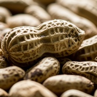 1/ 2Kg PEANUTS NO. 1 West Java