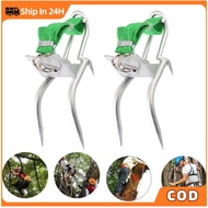 Coconut Tree Fast Climbing Tool 2Gears Steel Claw Climbing Tree Spikes Tree Pole Climbing Spike Set