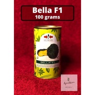 Bella F1 Hybrid Kalabasa Seeds 100grams (East-west Seed)