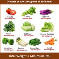 Vege Box Pack B (L) - Farm to Home - Cameron Highlands Vegetables - ( 7- 10 Types 9KG ≥ )