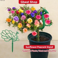 CHERRY3WK Plant Support, Stick Frame Pot Holder Peacock Shape Trellis,  Outdoor Plant Support Stand 