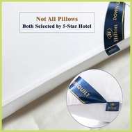 Authentic Hilton Pillow Premium Pillow Cotton Fiber Pillow Hilton Pillow