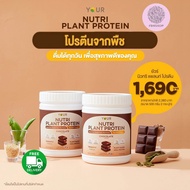 YOUR Nutri Plant Protein (ยัวร์ นิวทริ แพลนท์ โปรตีน)  เครื่องโปรตีนสูงจากพืช มีพรีไบโอติกส์ และ โพร
