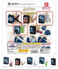 Harry Potter 哈利波特 扭蛋