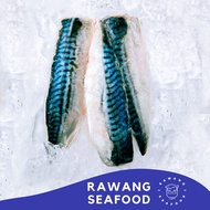 Norway Saba Mackeral Fish Fillet 5nos (±500gm/pkt) / 挪威鲭鱼片无骨 Frozen Seafood - Rawang Seafood
