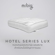 Hotel Series Lux 4"x15x25 in 1000g หมอนหนุนขอบหนานุ่ม นอนสบาย เข้าซอกไหล่พอดี