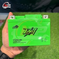 ESR MOTOR YTZ5S-BS BATTERY PICOCELL
