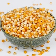 Jagung Pop Corn Mentah 500gr Biji Jagung PopCorn Kering 500 gr