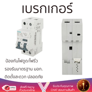 รุ่นใหม่ล่าสุด เบรกเกอร์ เบรกเกอร์ไฟฟ้า เมนเบรกเกอร์ RCBO SIEMENS 63A 2P 30mA คุณภาพสูงมาก ผลิตจากวั