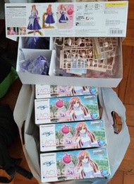 莉古絲 古蘭爾 Lacus Clyne (現貨 剩一)