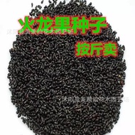 Dragon Fruit Seed Four Seasons North South Easy Planting Indoor Balcony Potted Fruit Plant Seed