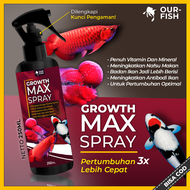 Vitamin Pakan Ikan Hias Pertumbuhan GROWTH MAX untuk Ikan Koi Arwana Louhan Koki Goldfish Mas Koki C