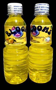 BLOOMS 250ML LEMON SCENT DISHWASHING LIQUID