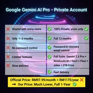 Gemini 2.5 Pro – Private 1-Year Account