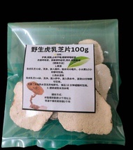 虎乳芝片50g-100g/  Kulat Cendawan Susu Harimau / Tiger Milk Mushroom Sclerotia