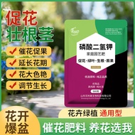 Potassium Phosphate Promote Flowering Fertilizer Universal Household Phosphate Potassium Fertilizer 