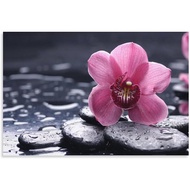 Spa Yoga Zen Stone Orchid Picture Poster Beauty Salon Poster Wall Art Paintings Canvas Wall Decor Ho