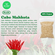 ( 100 Butir ) Benih Biji Cabe Mahkota Tumpuk Jepang | Red Cluster | Cabe Dompol