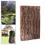 Kỳ Nhông thằn lằn kỳ nhông kỳ nhông nền gạch Thảm leo trèo Cork bò sát