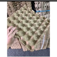 20 SHEET PACKAGE!! Chicken Egg Container Egg Tray/ Multipurpose Chicken Egg Container/ Aesthetic aqi