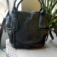 Tas fossil emerson medium