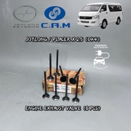 ORIGINAL JOYLONG/PLACER X 2.5（DK4）ENGINE EXHAUST VALVE（8 PCS）