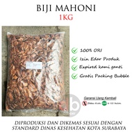 Biji Mahoni Premium | Biji Buah Mahoni 1kg