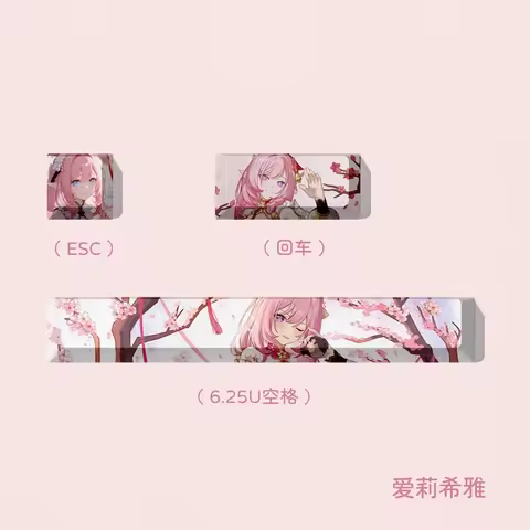 Honkai Impact 3 Elysia Raiden Shogun Four Key Nine Key PBT Keycap Mechanical Keyboard Personalized G