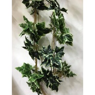 Green maple leaf vines cluster of 5