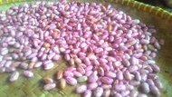 Kacang merah segar