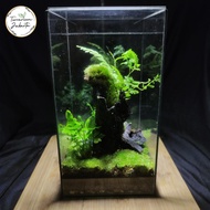 Closed Terrarium - Rectarium - Type 2| Beauty in the soul