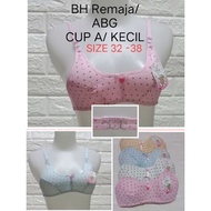 BRA BH Fashion Remaja Kecil ( 284) BRA Pelajar Cup kecil Wanita Busa