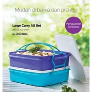 ️Tupperware Large Carry All Set (Food Lunch Box)