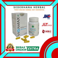 Vigamax Asli Original Suplemen Stamina Pria Dewasa