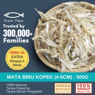 Ocean Papa Ikan Bilis Mata Biru Kopek & Belum Kopek Gred 5A/3A/A (500G) [Rangup Lembut][Borong] / Ha