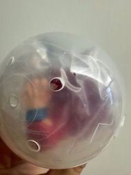 龍珠Daima扭蛋 超4 悟空 換 超3 比達