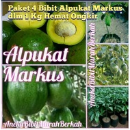 1 Kg Alpukat Hemattt Ongkiirr Bibit dlm Markus 4 Paket