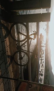 2022 Giant SCR 1 公路車 (急放)