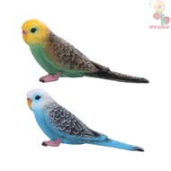 AVUKA Simulated Budgie Parrot, Plastic Educational Bird Figurines, Animal Sculpture Miniatures Carto