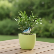 Moisture Alarm with Bird Design Audible Moisture Meter with Sensor Watering Alarm Automatic Watering