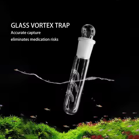 3 Holes Glass Planarian Trap Aquarium Bristle Worm Catcher Snail Trap Reduce Planaria Population In 