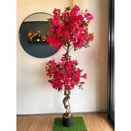 Pokok Bunga Kertas Bonsai Merah Jambu Hiasan / Premium Artificial Bougainvillea Pink Bonsai tree Flo