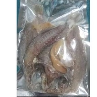 IKAN GELAMA BEKOK KELANTAN