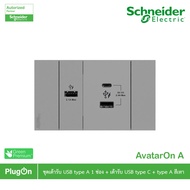 Schneider Electric USB Type C + A Socket And 1 Channel Gray Model AvatarOn