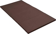 Achilles Mattress, Foldable, Firm, High Hardness (190N), Lower Back Pain, Semi-Single, Width 35.8 x