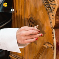 CREAMCANVAS​ Guzheng Nail Cover Set Playing Ring Guzheng Practice Guzheng Accessories Musical Instru