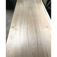 pintu plywood (FREE CUSTOM SIZE 7inch to 34inch)