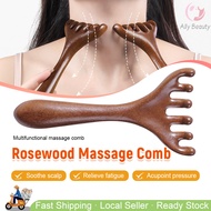 🇸🇬 Wooden Scalp Massage Comb Deer Antler Acupuncture Comb Double-End Wide Tooth Sandalwood Head Comb